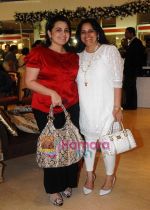 Elina Meswani with Bindu Rana Kapoor at Araaish exhibition in Blue Sea on 6th Oct 2009.JPG